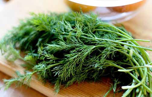 6 great alternative to dill in cooking