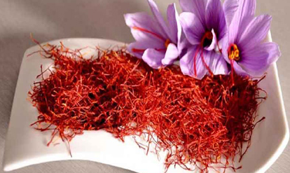 This plant is very suitable for the health of the human body. Saffron has more than 150 different antioxidant compounds