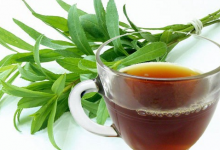 Photo of Tarragon tea recipe