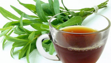 Photo of Tarragon tea recipe
