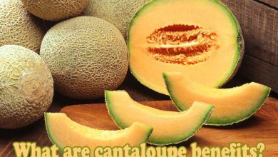 Photo of What are cantaloupe benefits?