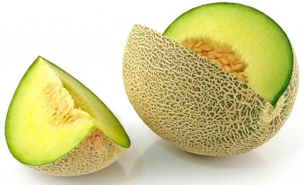 What is cantaloupe?