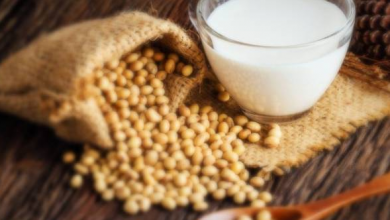 Photo of How to make “soy milk” at home + unique properties of soy