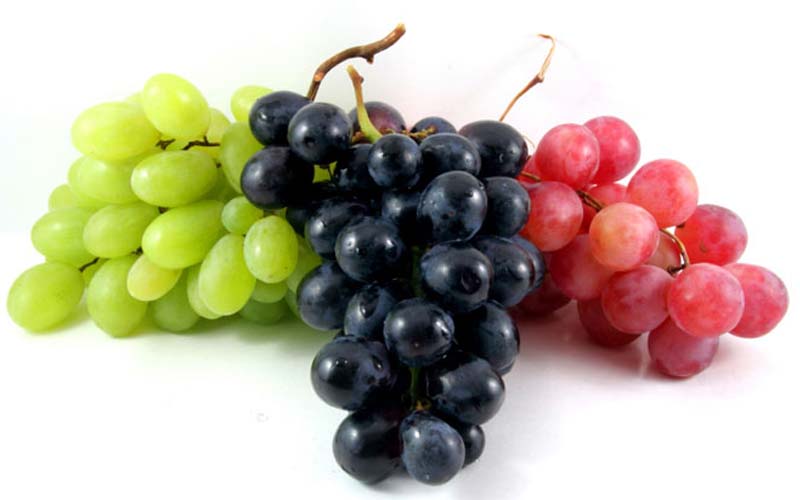 Properties of grapes for health