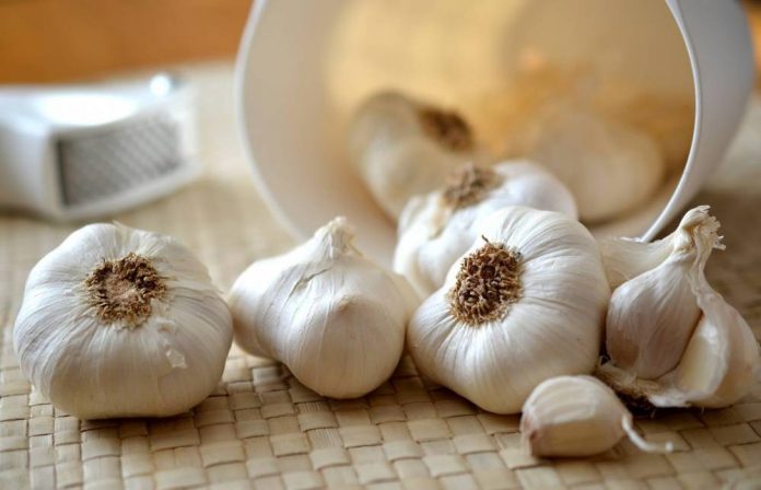 benefits of grilled garlic