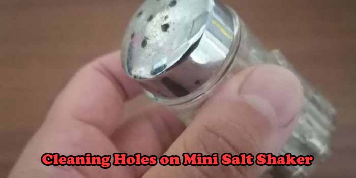 Cleaning Holes on Mini Salt Shaker