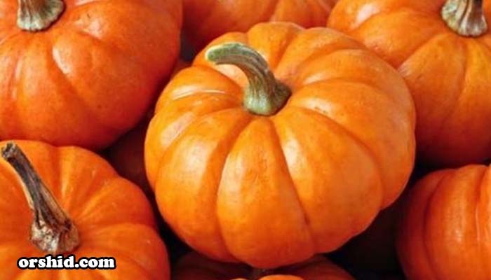 Properties of pumpkin for skin and hair