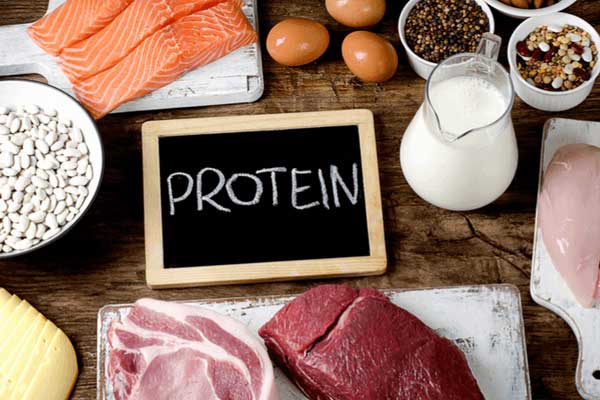 Foods high in protein