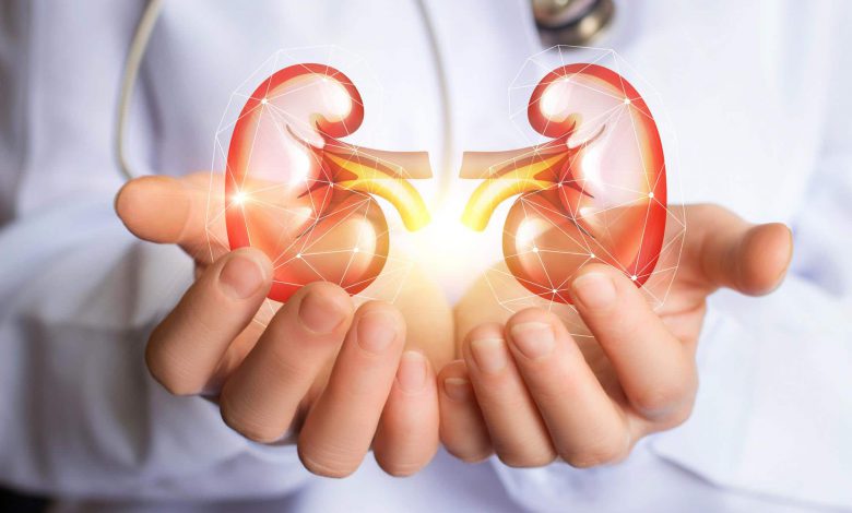 What do you know about the important nutritional tips for kidney health?