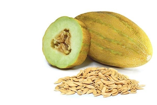 Get acquainted with the properties of melon seeds