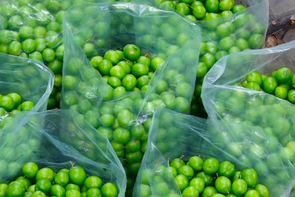 Properties of green tomatoes