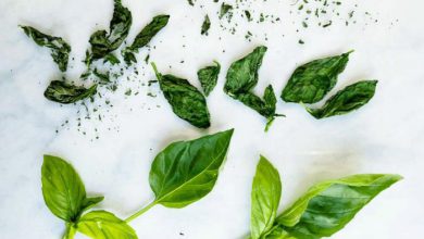 Photo of 2 ways to dry basil at home