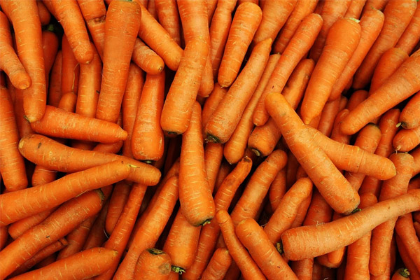 Carrot properties