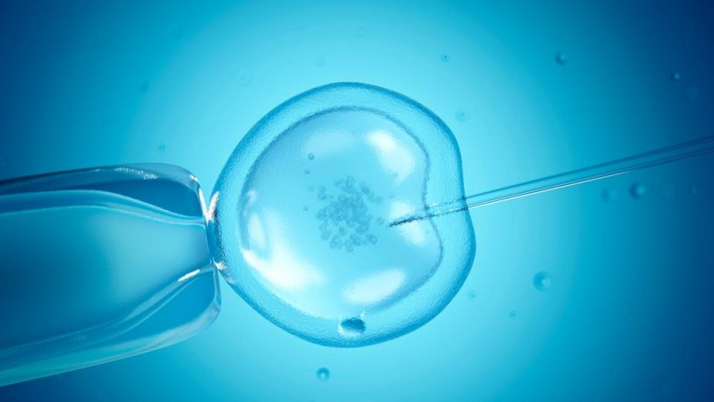 What is IVF assisted reproduction?